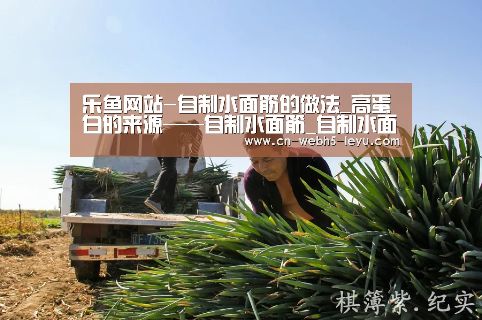 乐鱼网站-自制水面筋的做法_高蛋白的来源——自制水面筋_自制水面筋怎么做_翟女……的菜谱(图1) 乐鱼体育