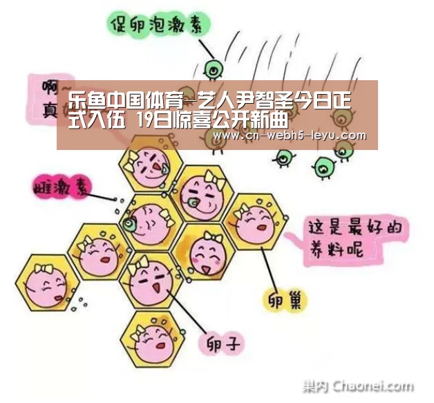 乐鱼中国体育-艺人尹智圣今日正式入伍 19日惊喜公开新曲(图1) 乐鱼LEYU