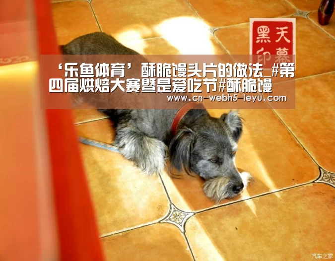 乐鱼体育