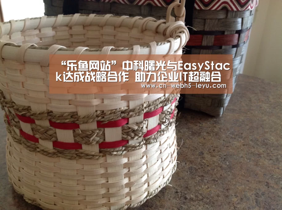 “乐鱼网站”中科曙光与EasyStack达成战略合作 助力企业IT超融合(图1) 乐鱼LEYU