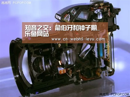 知音之交:俞伯牙和钟子期_乐鱼网站(图1) 乐鱼中国体育