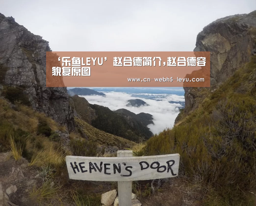 乐鱼LEYU