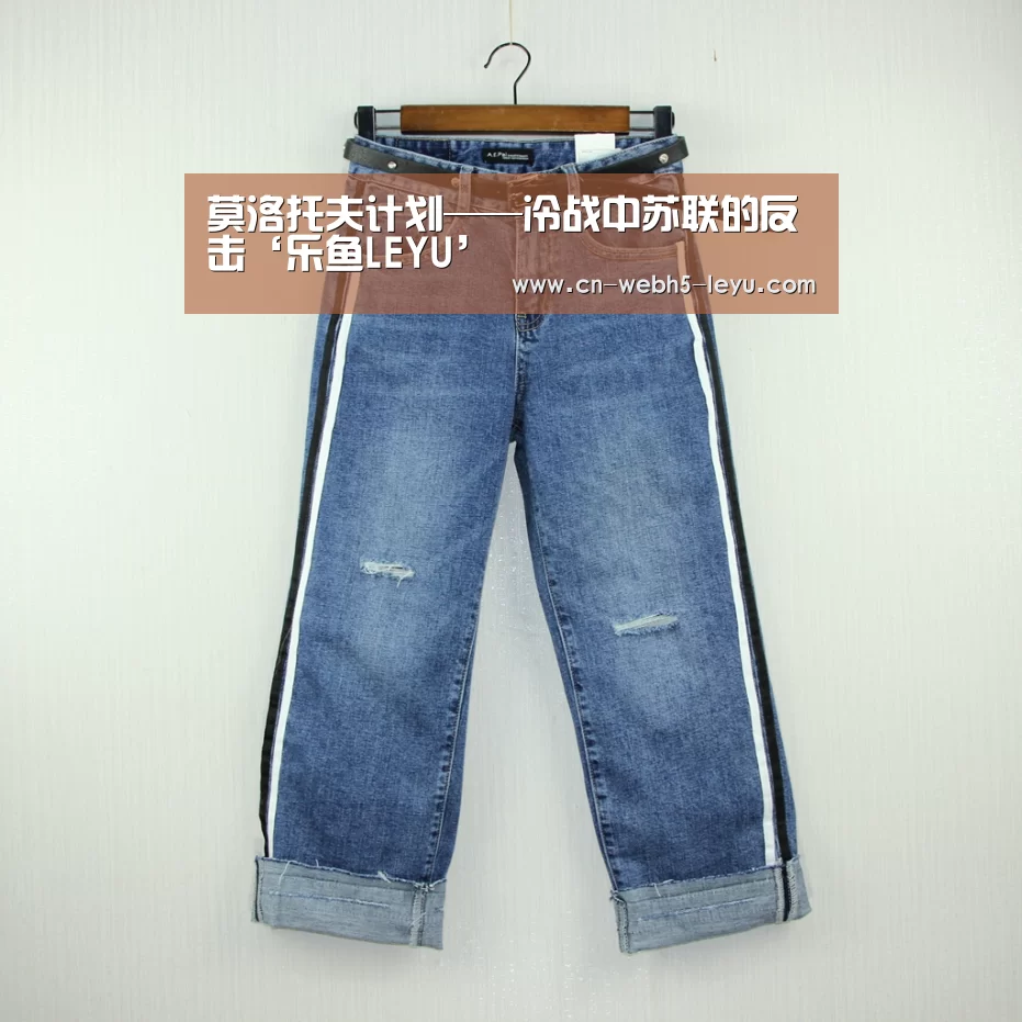 莫洛托夫计划——冷战中苏联的反击‘乐鱼LEYU’(图1) 乐鱼中国体育