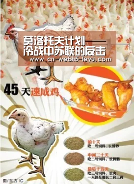 莫洛托夫计划——冷战中苏联的反击‘乐鱼LEYU’(图3) 乐鱼中国体育