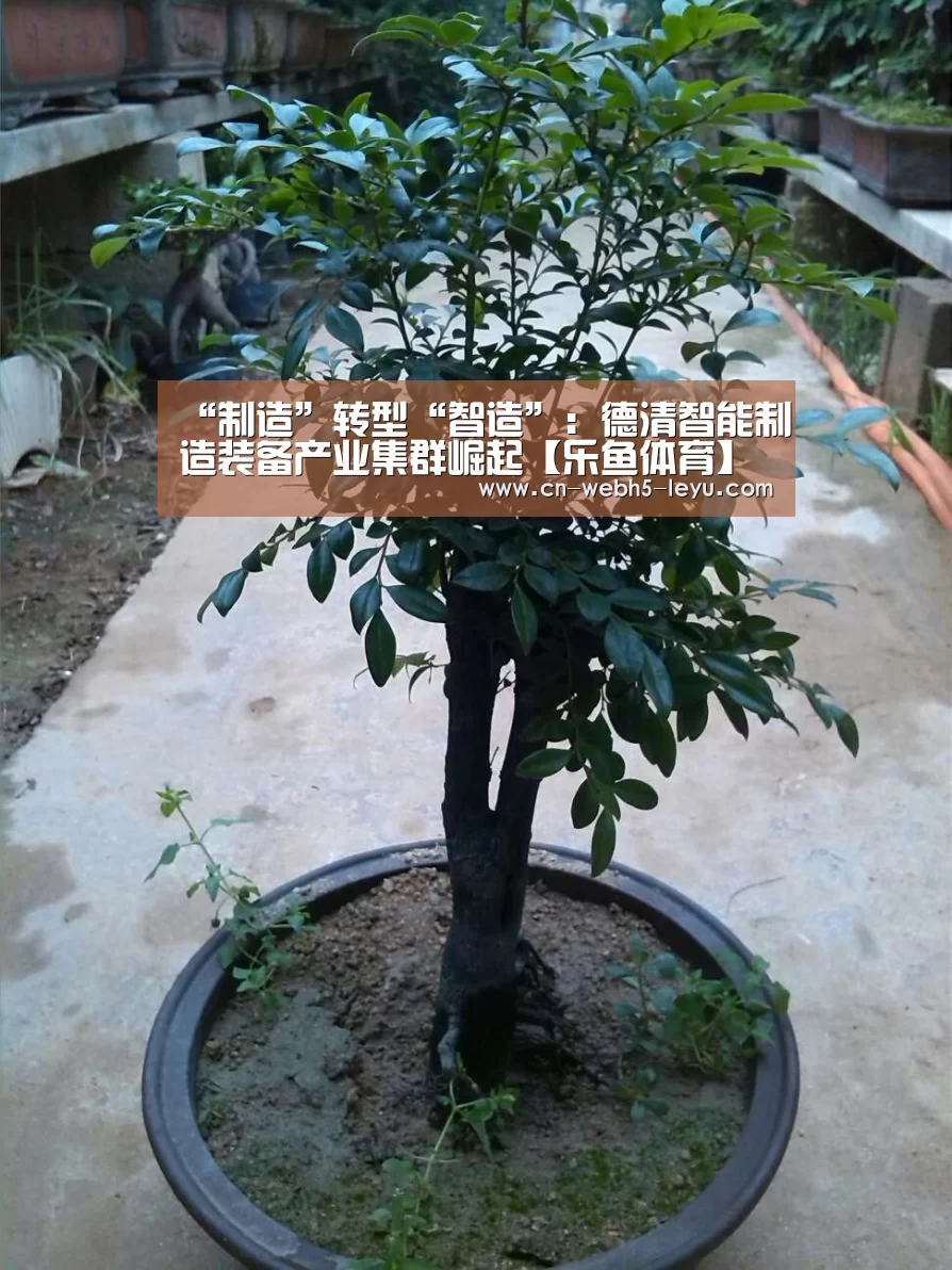 乐鱼LEYU