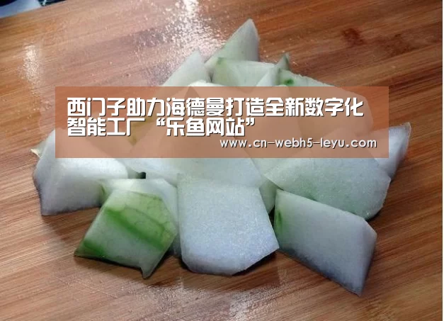 西门子助力海德曼打造全新数字化智能工厂“乐鱼网站”(图1) 乐鱼中国体育
