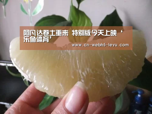 乐鱼网站